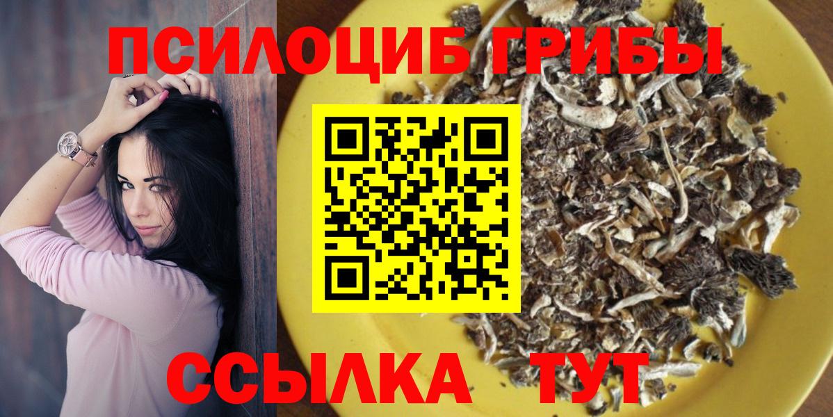 Новоуральск  купить наркоту  Псилоцибиновые грибы GOLDEN TEACHER  Вход с VPN  Галлюциногенные грибы Psilocybe 